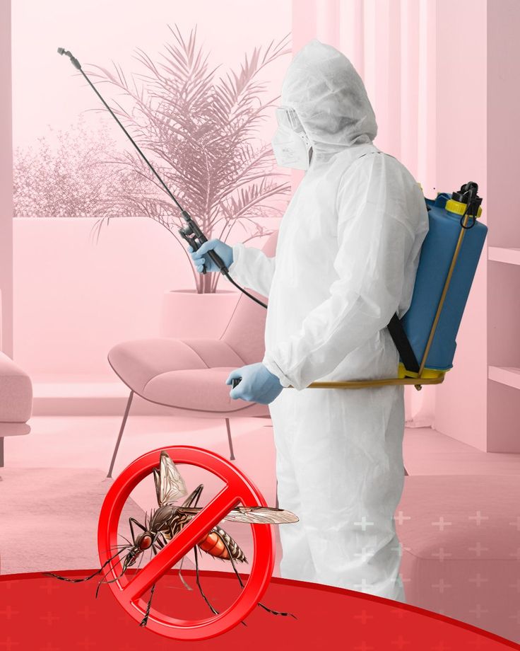 Odunpazarı ilaçlama firması