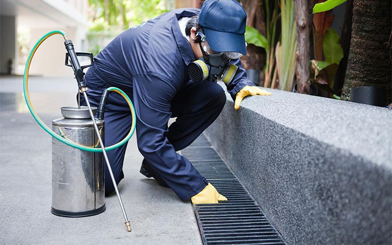 Odunpazarı profesyonel ilaçlama